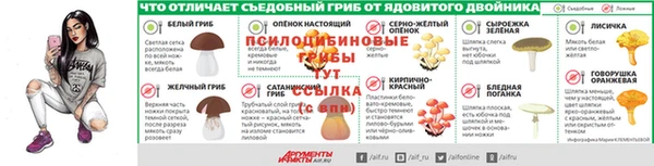 гашик Арсеньев