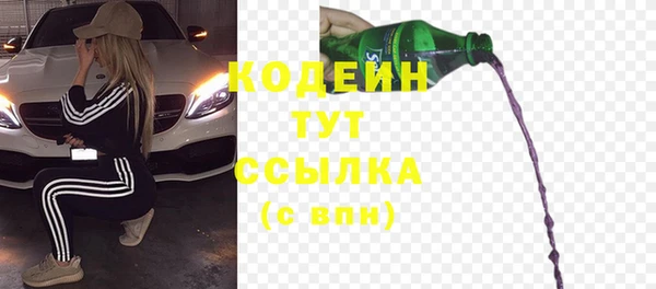 гашик Арсеньев