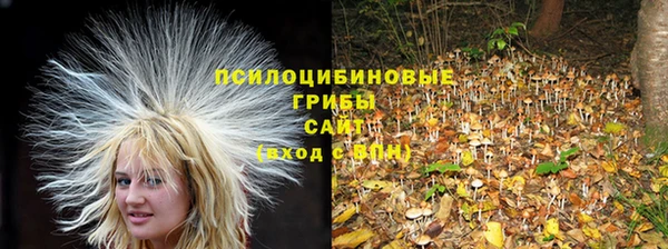 гашик Арсеньев