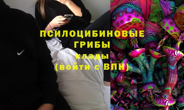 каннабис Аркадак