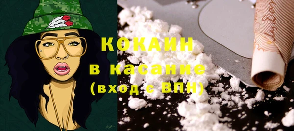 гашик Арсеньев