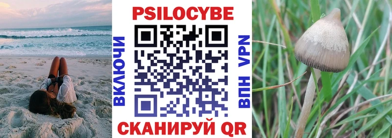 Псилоцибиновые грибы Psilocybine cubensis  Калтан 